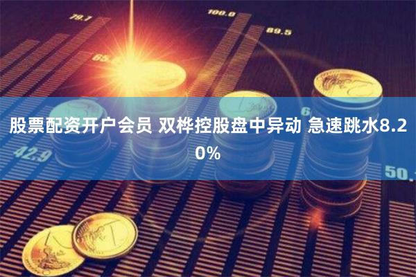 股票配资开户会员 双桦控股盘中异动 急速跳水8.20%