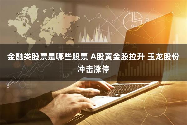 金融类股票是哪些股票 A股黄金股拉升 玉龙股份冲击涨停