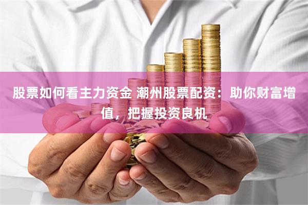 股票如何看主力资金 潮州股票配资：助你财富增值，把握投资良机